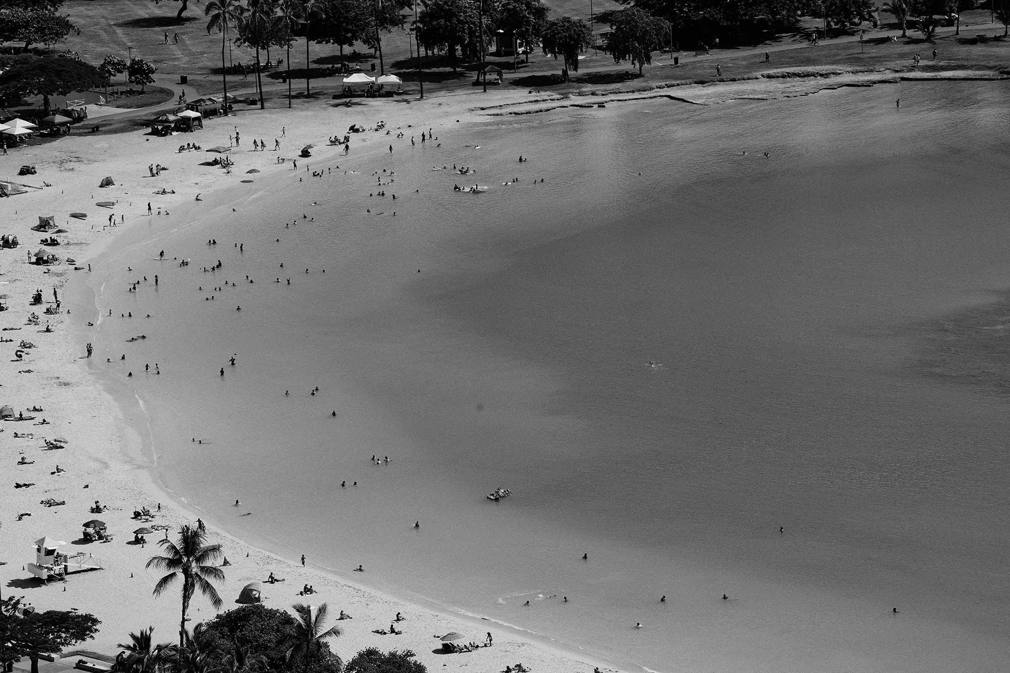 Aerial view of beachgoers at the shore