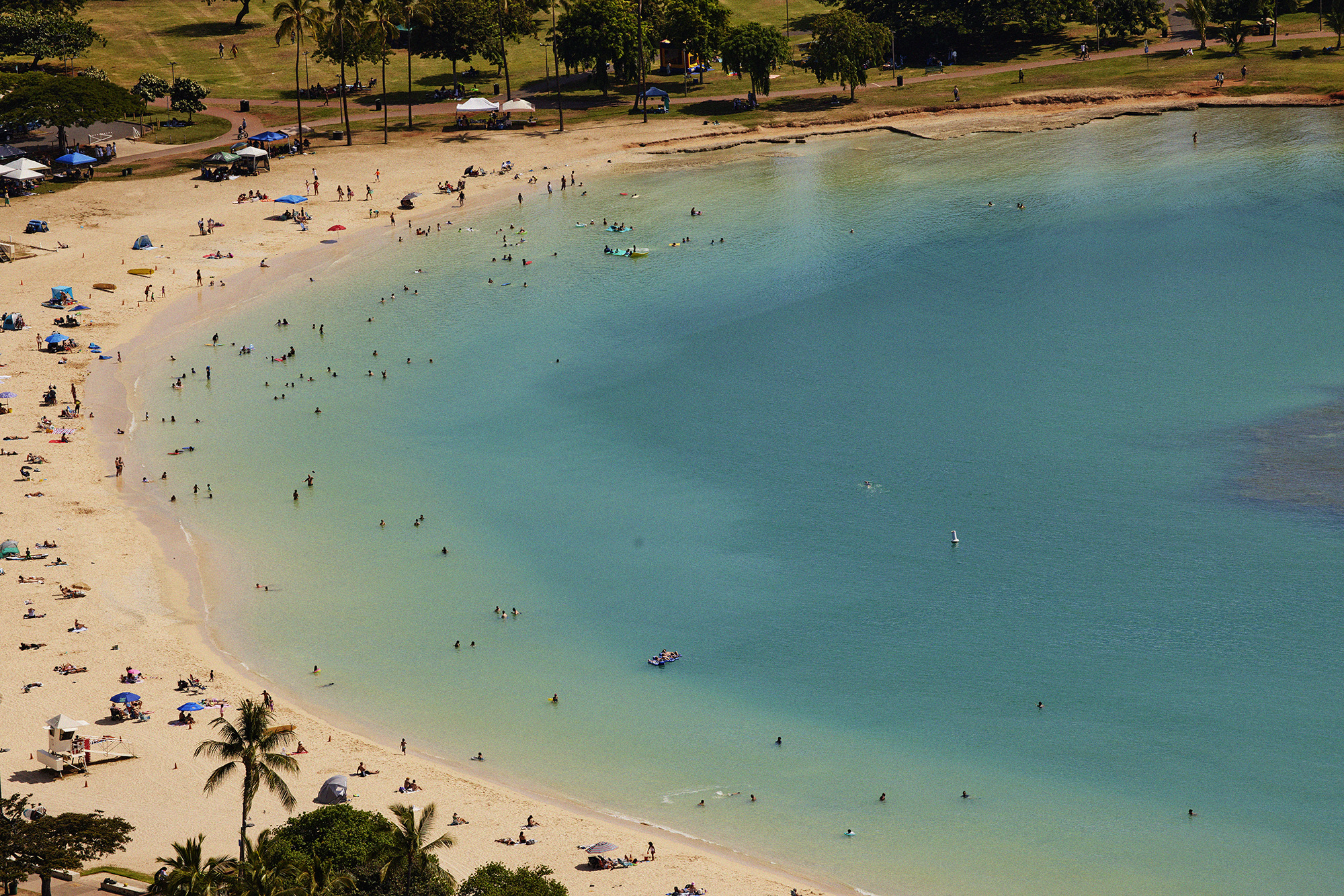 Coastline with beachgoers